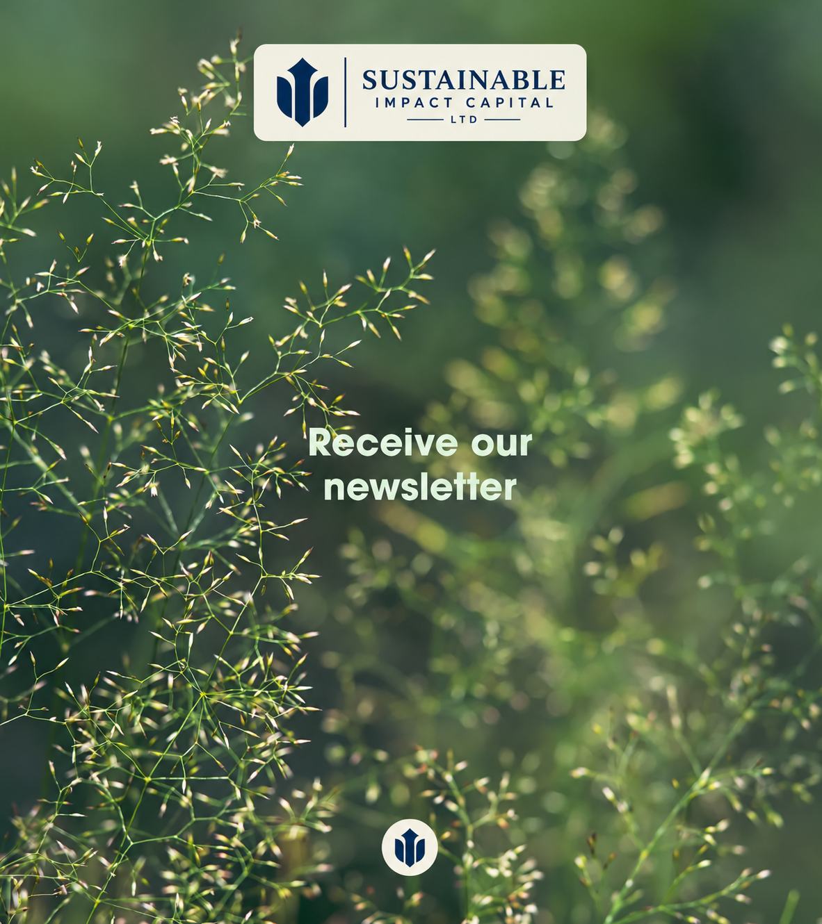 Receive our newsletter